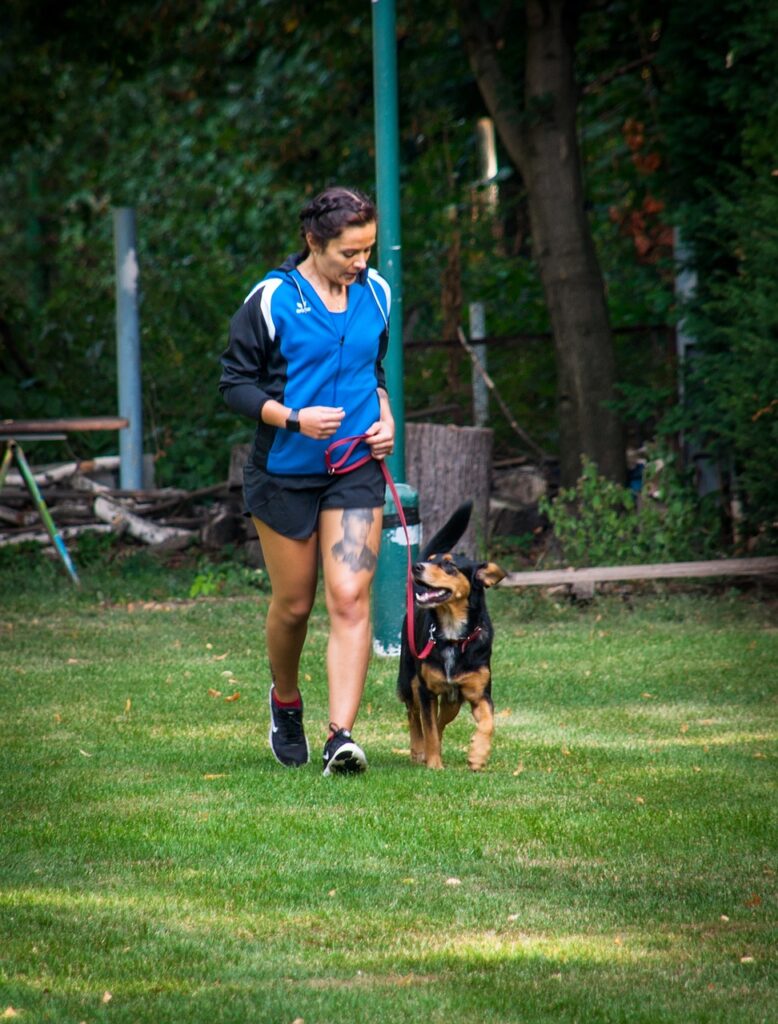 volunteer walking a dog